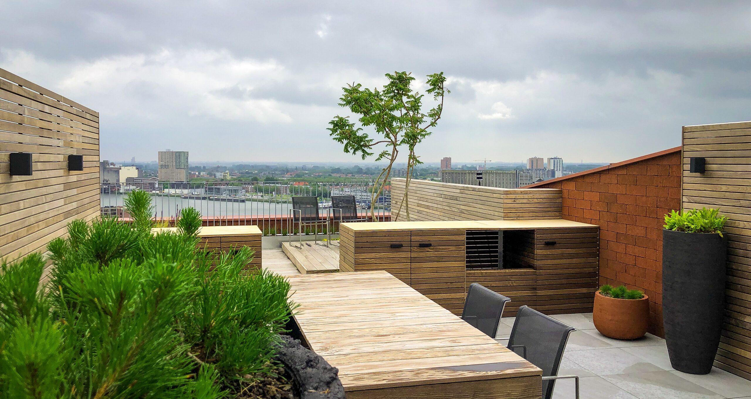 Daktuin Rotterdam 2