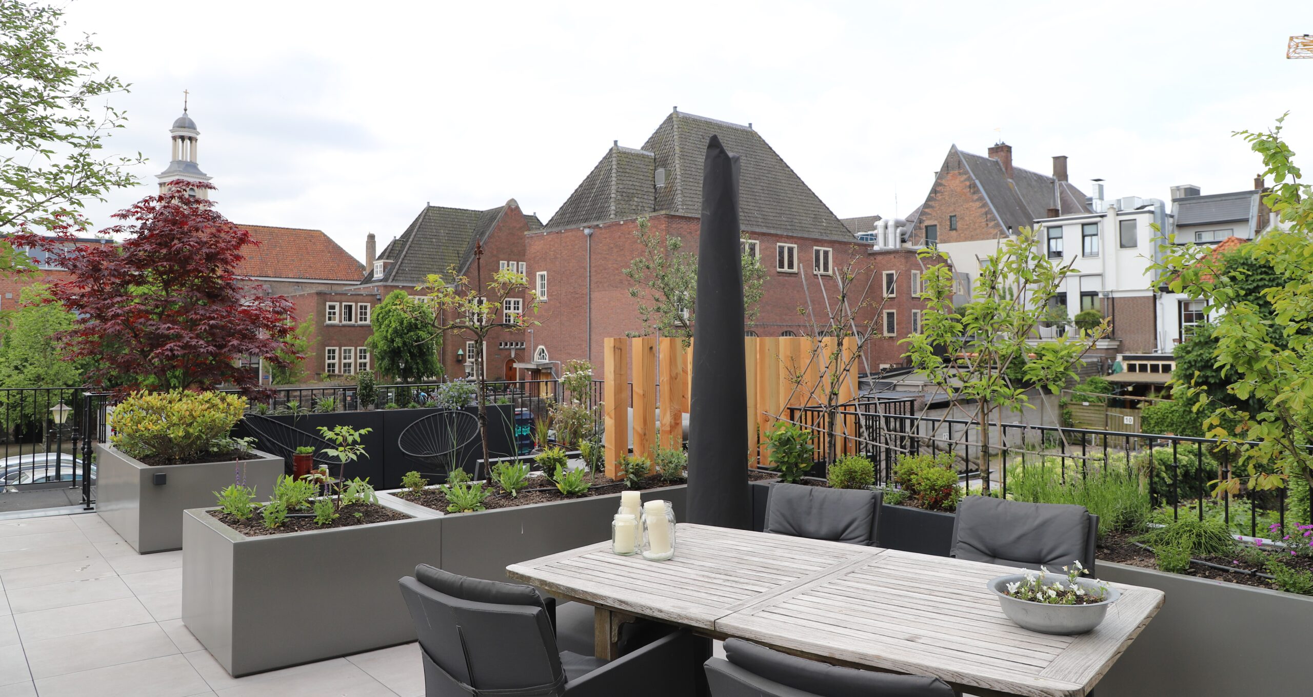 Daktuin Breda 3
