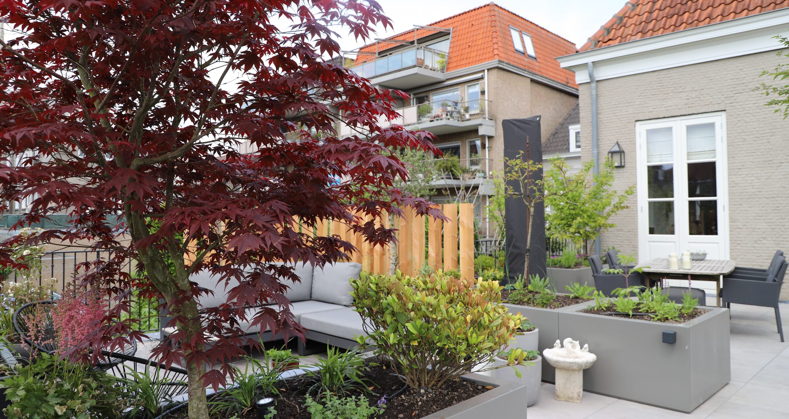 Daktuin Breda 4