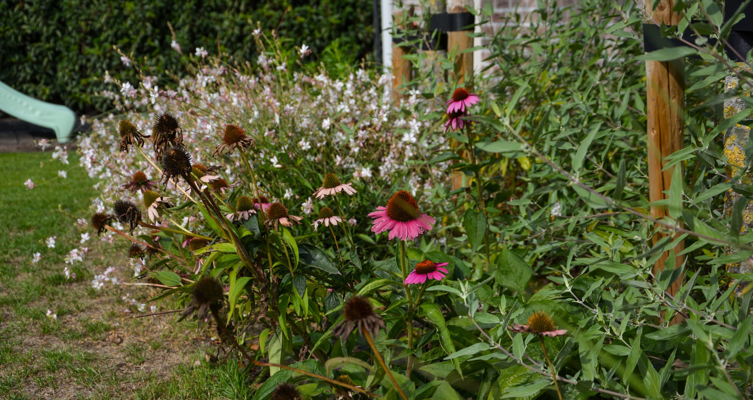 Detailfoto bloemen