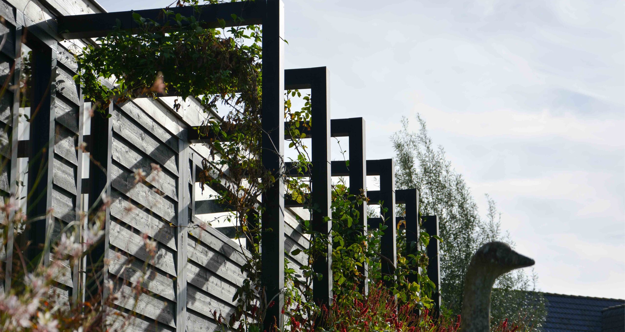 Landelijke tuin 17