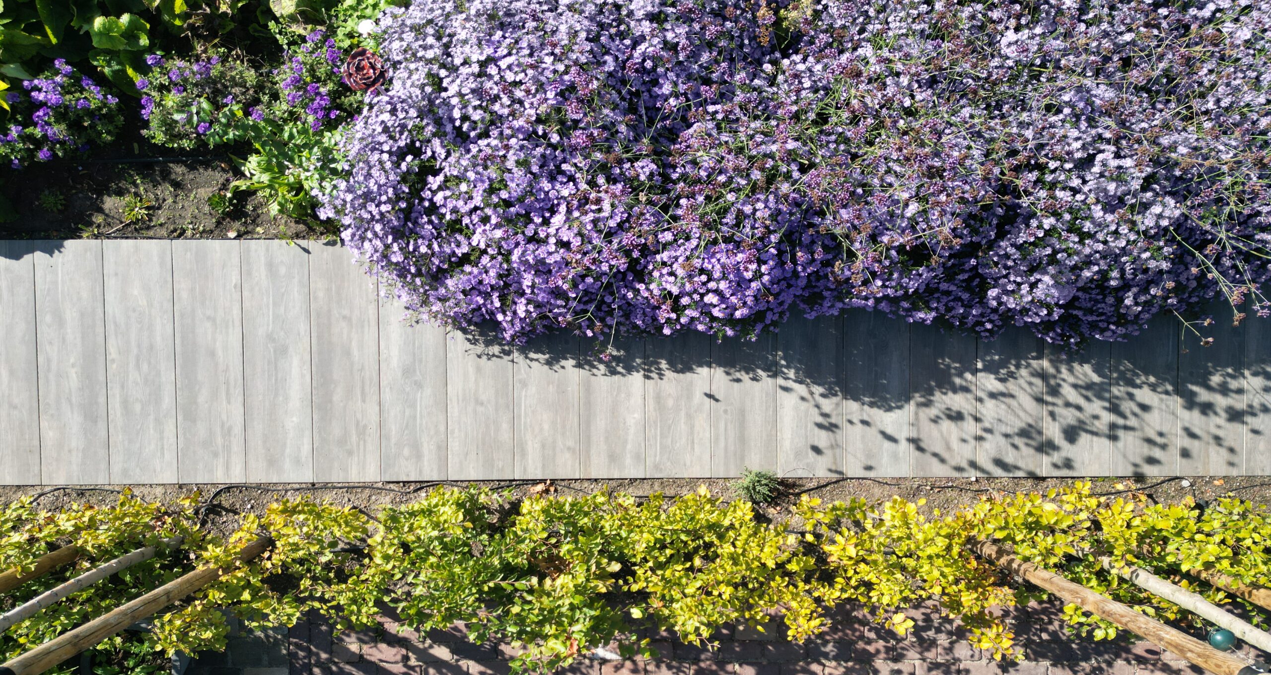 Landelijke tuin 2