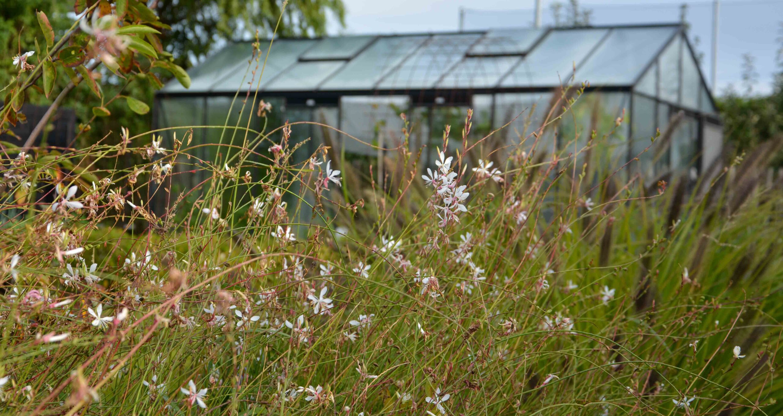 Landelijke tuin 7