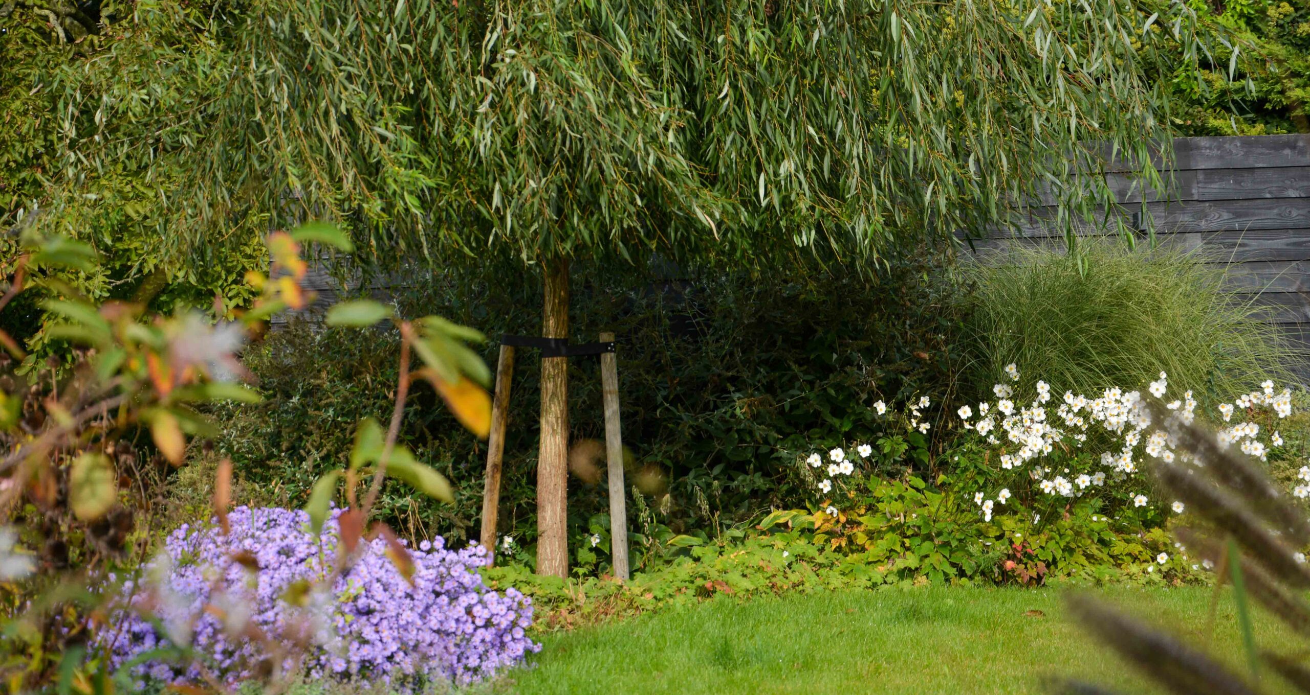 Landelijke tuin 8