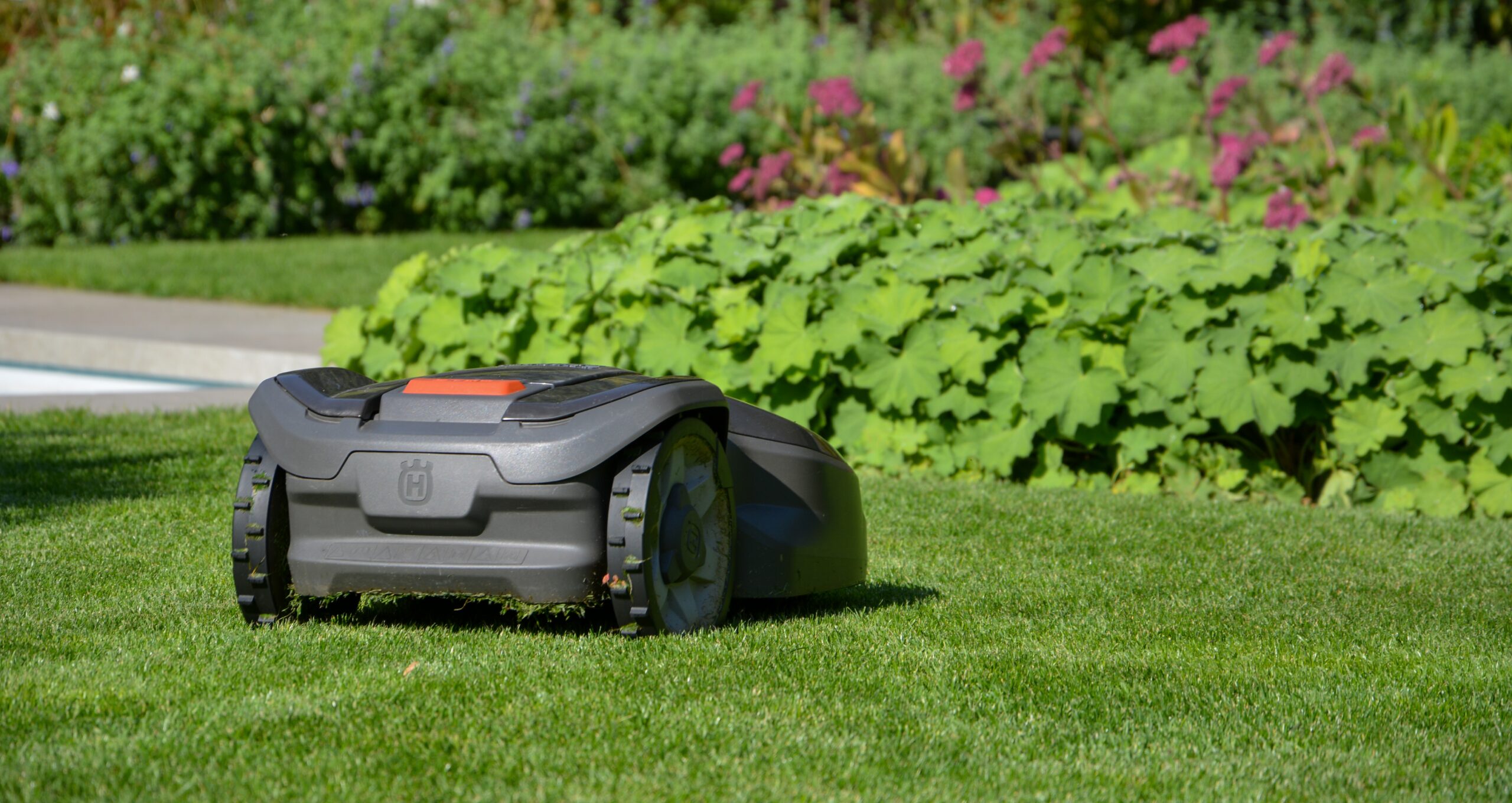 Vakantiegevoel in eigen tuin 11